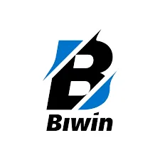 BIWIN - Petualangan Menakjubkan dalam Dunia MMORPG
